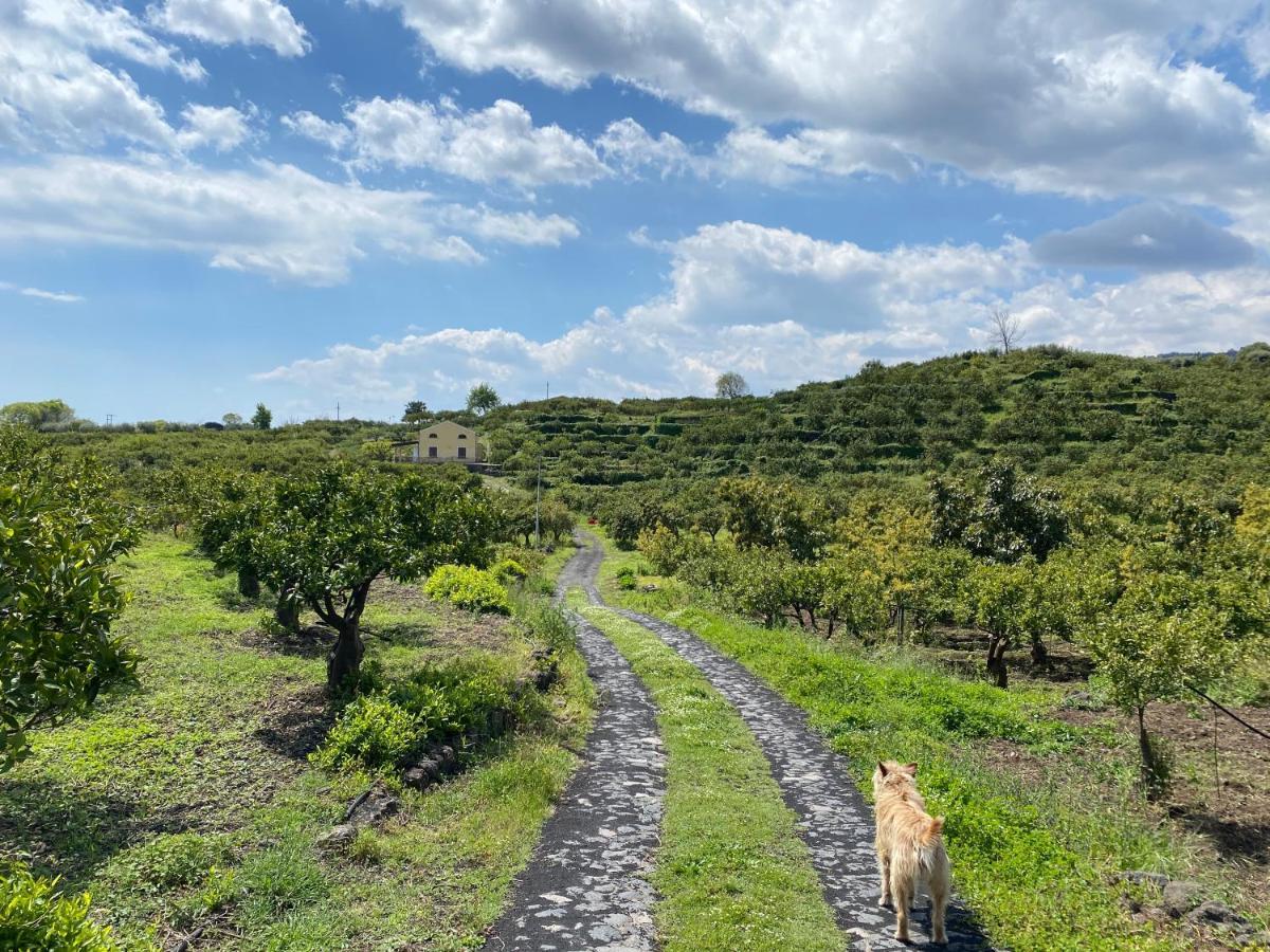 Agriturismo Le Case Di Civi Mascali Exterior foto