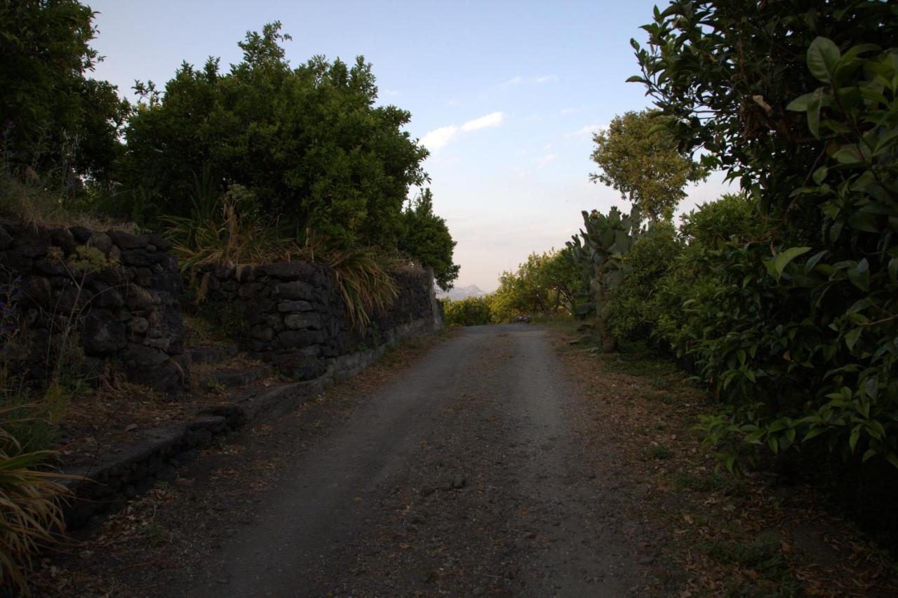 Agriturismo Le Case Di Civi Mascali Exterior foto