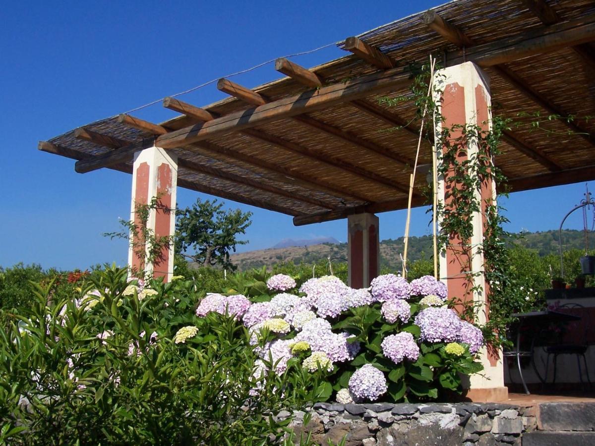 Agriturismo Le Case Di Civi Mascali Exterior foto